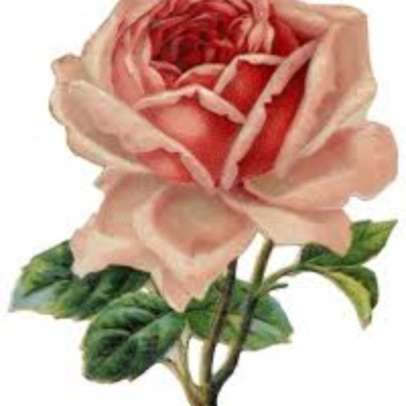 ninagraham163
